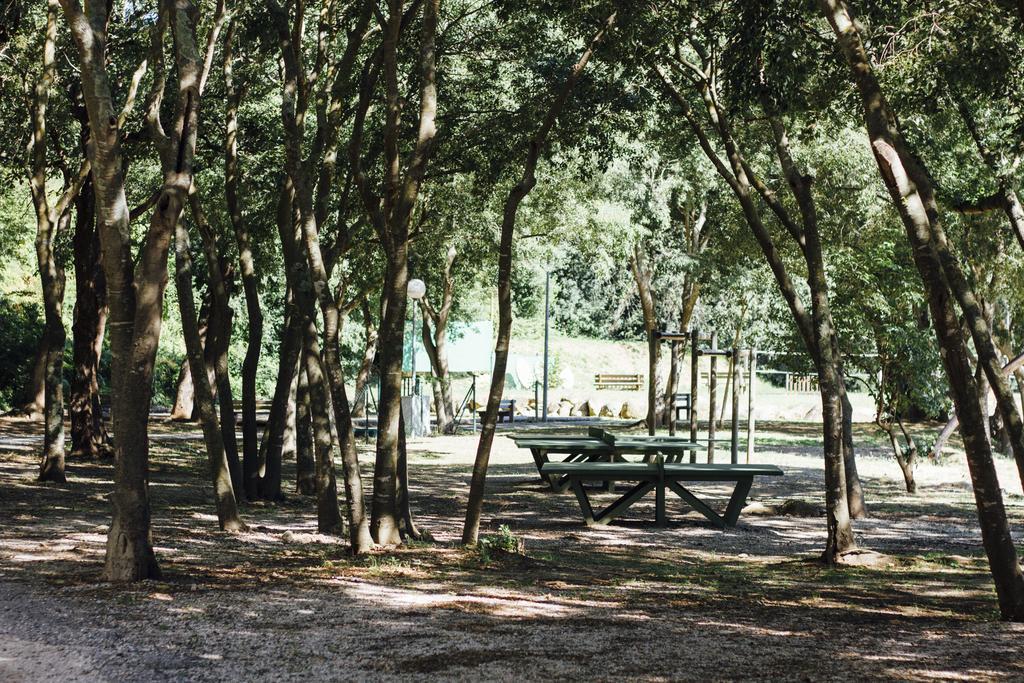 Camping Le Bois Fleuri Argeles-sur-Mer Exterior photo